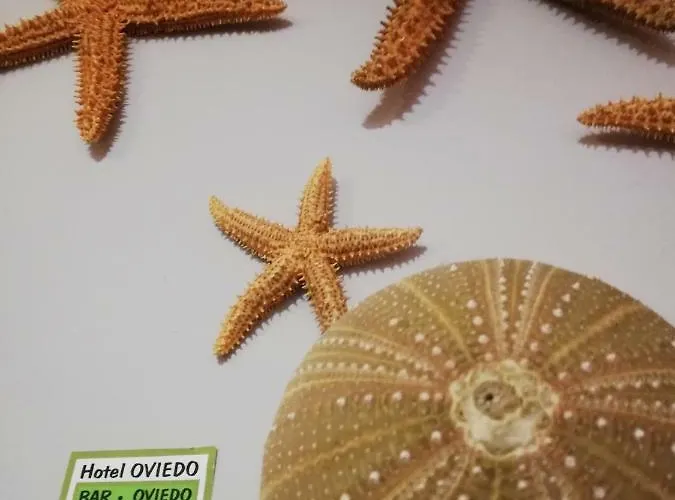 Restaurante Oviedo Hotel